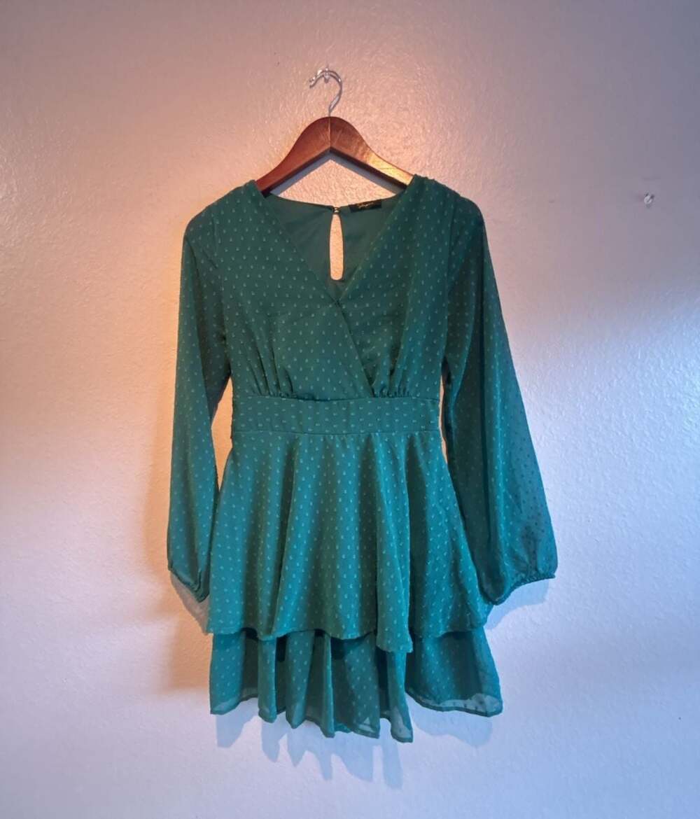 Japna Swiss Dot Chiffon Long Sleeve V-Neck Dress Green Sz M